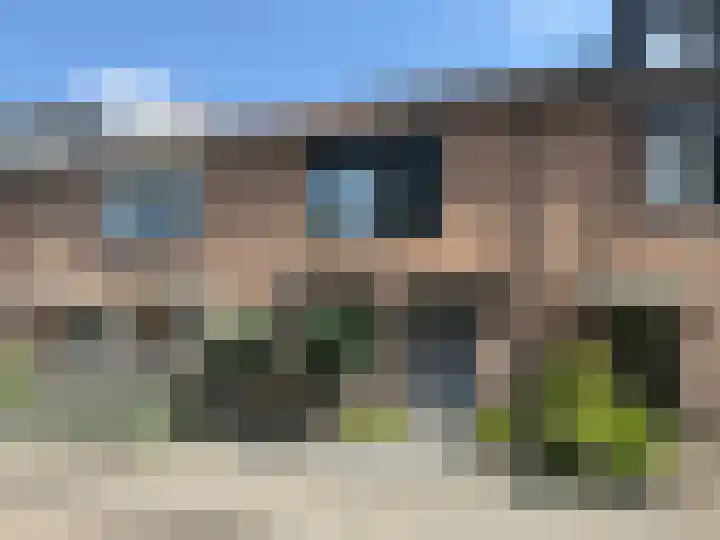 Populier 98 Best thumbnail 36
