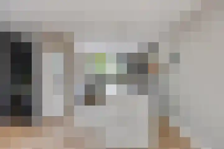 Populier 98 Best thumbnail 9