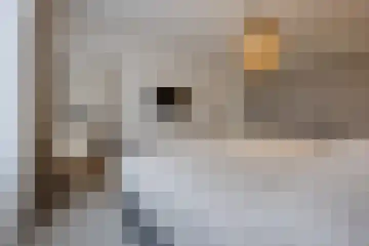 Populierenhof 20 Bodegraven thumbnail 31