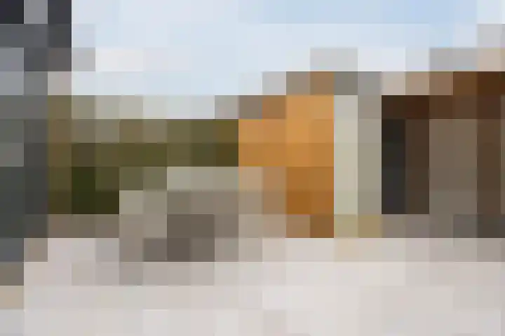 Populierenhof 20 Bodegraven thumbnail 48