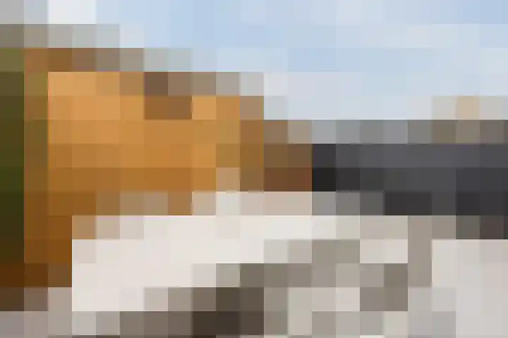 Populierenhof 20 Bodegraven thumbnail 49