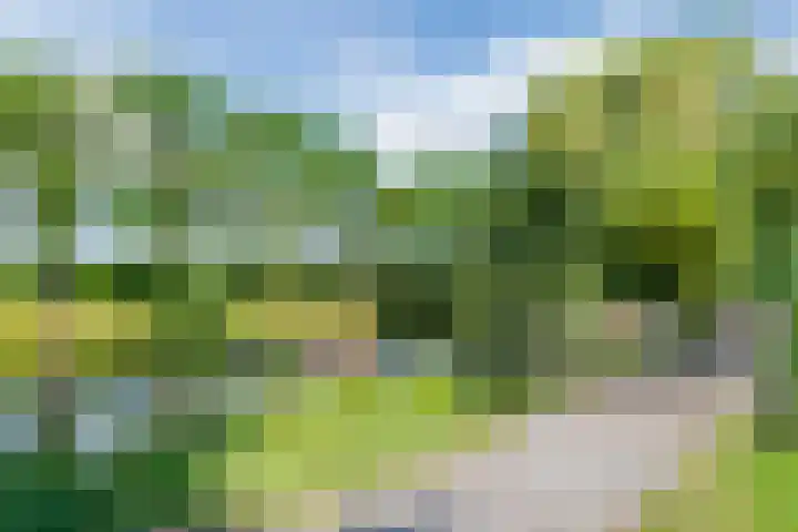 Populierenhof 20 Bodegraven thumbnail 55