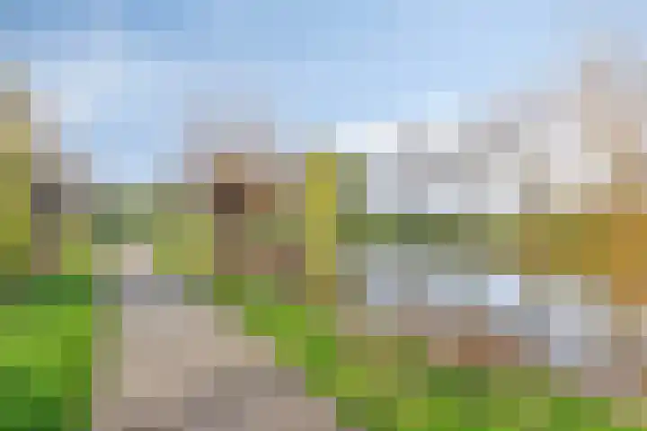 Populierenhof 75 Bodegraven thumbnail 31