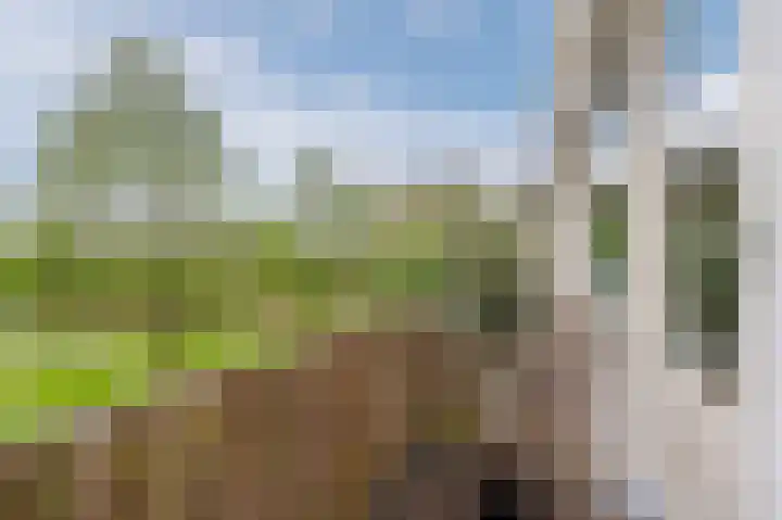 Populierenhof 99 Bodegraven thumbnail 5