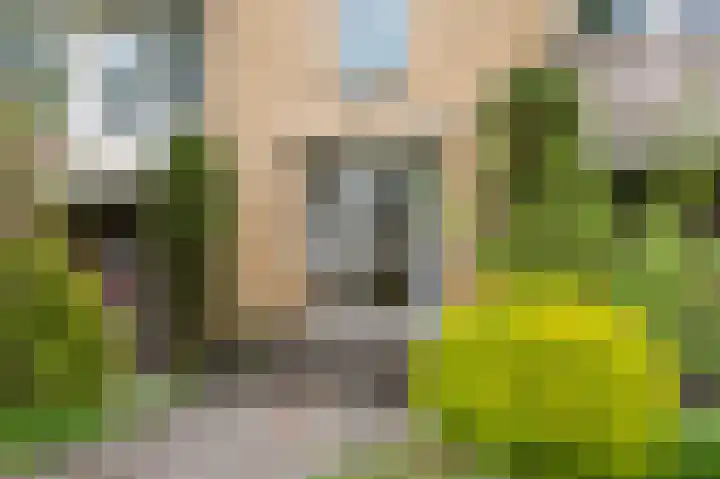 Populierenhof 99 Bodegraven thumbnail 8