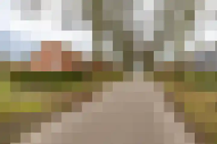 Populierenlaan 7 Hellum foto 2