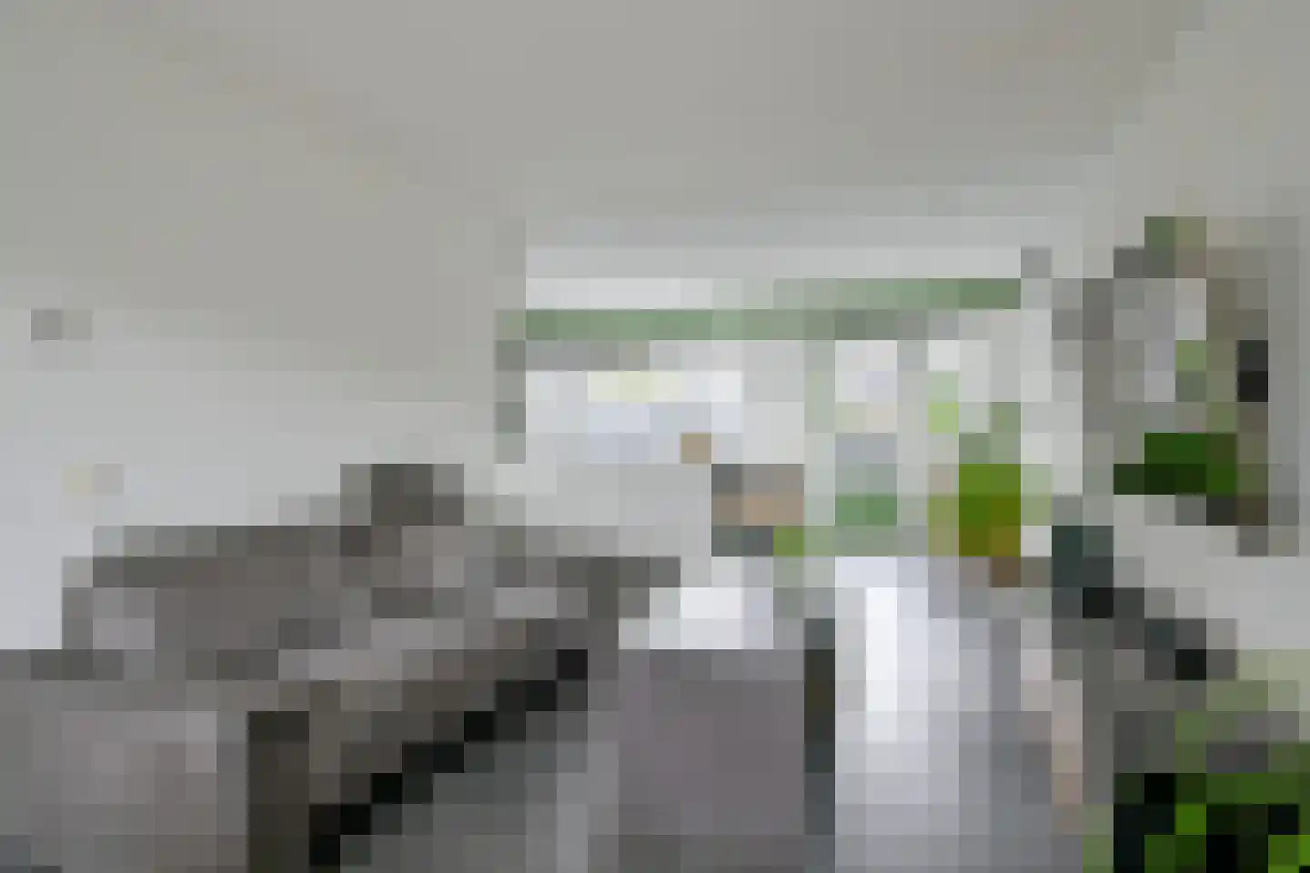 Populierenstraat 55 Winkel thumbnail 11