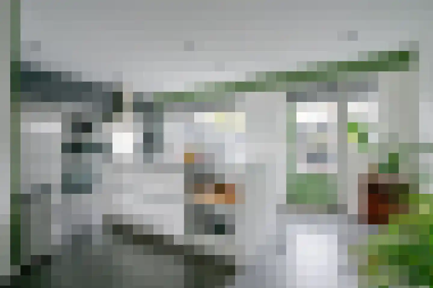 Populierenstraat 55 Winkel thumbnail 12