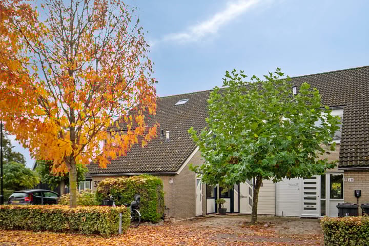 Populierestraat 30 in 's-Gravenpolder foto