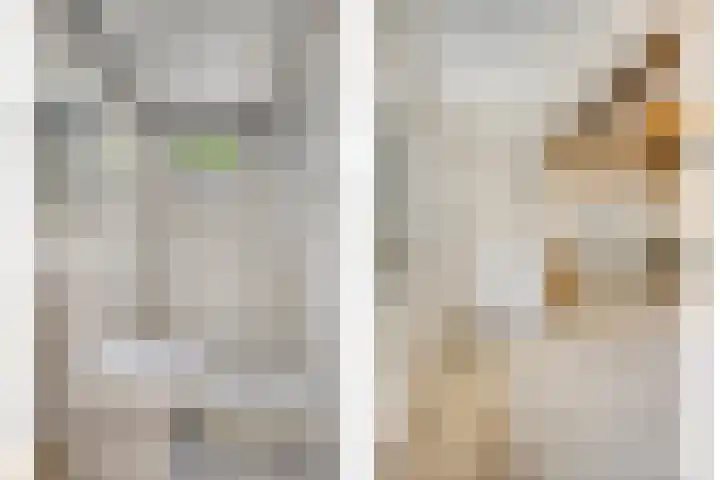 Populierstraat 13 Oss thumbnail 12