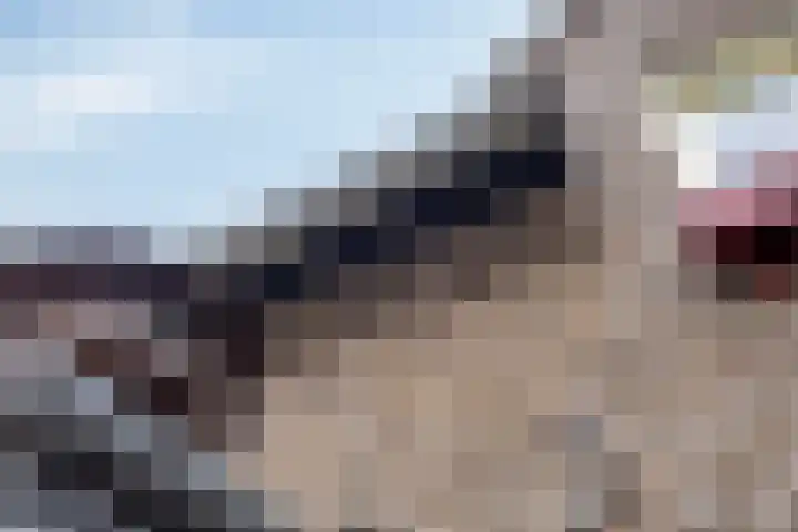 Populierstraat 13 Oss thumbnail 17