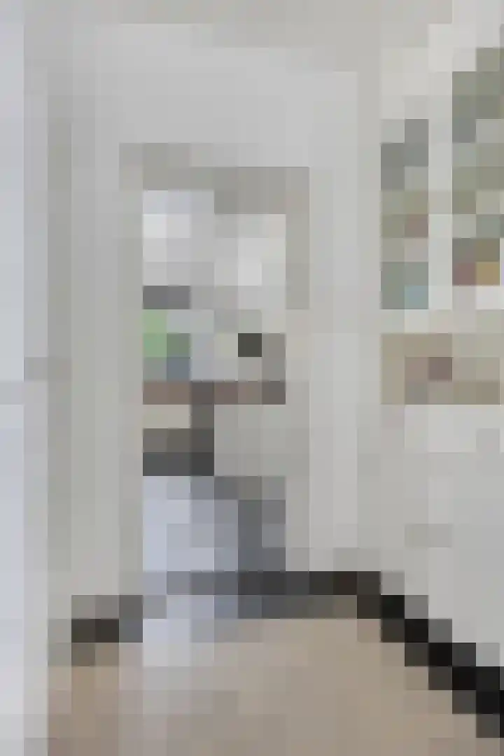 Populierstraat 13 Oss thumbnail 22