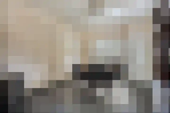 Populierstraat 13 Oss thumbnail 25