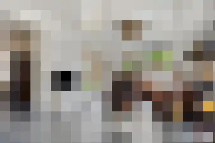 Populierstraat 13 Oss thumbnail 30