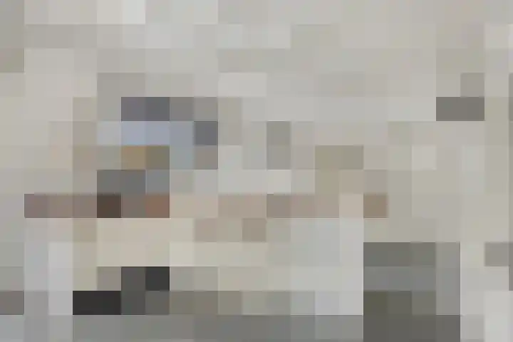 Populierstraat 13 Oss thumbnail 35
