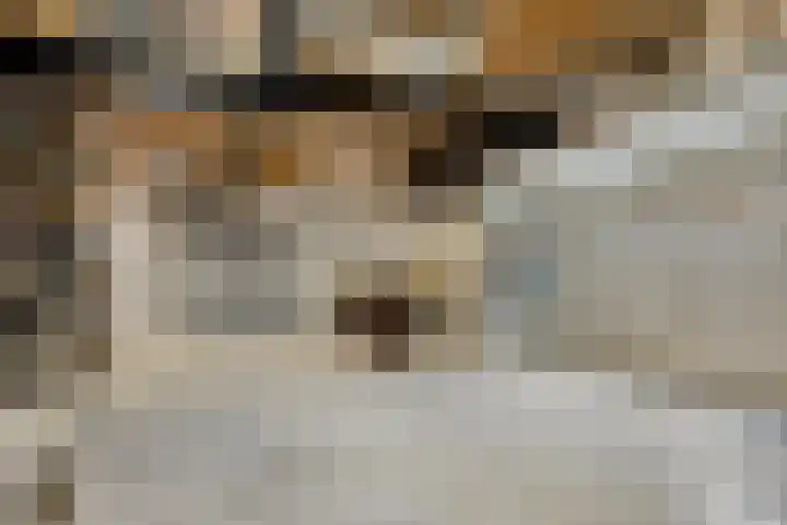 Populierstraat 13 Oss thumbnail 44