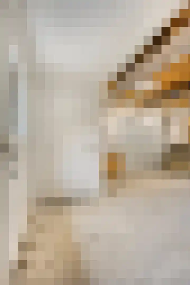 Populierstraat 13 Oss thumbnail 46