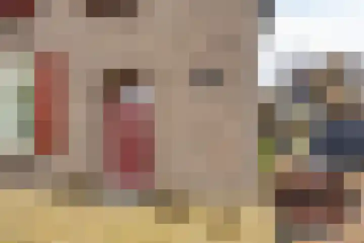 Populierstraat 13 Oss thumbnail 5
