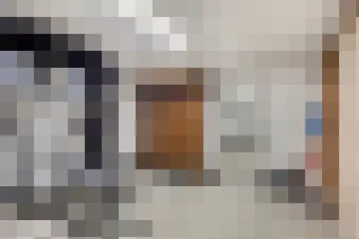 Populierstraat 13 Oss thumbnail 52