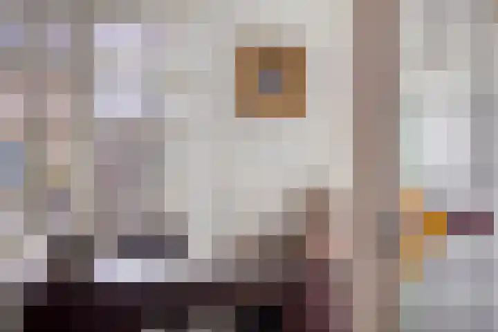Populierstraat 13 Oss thumbnail 54