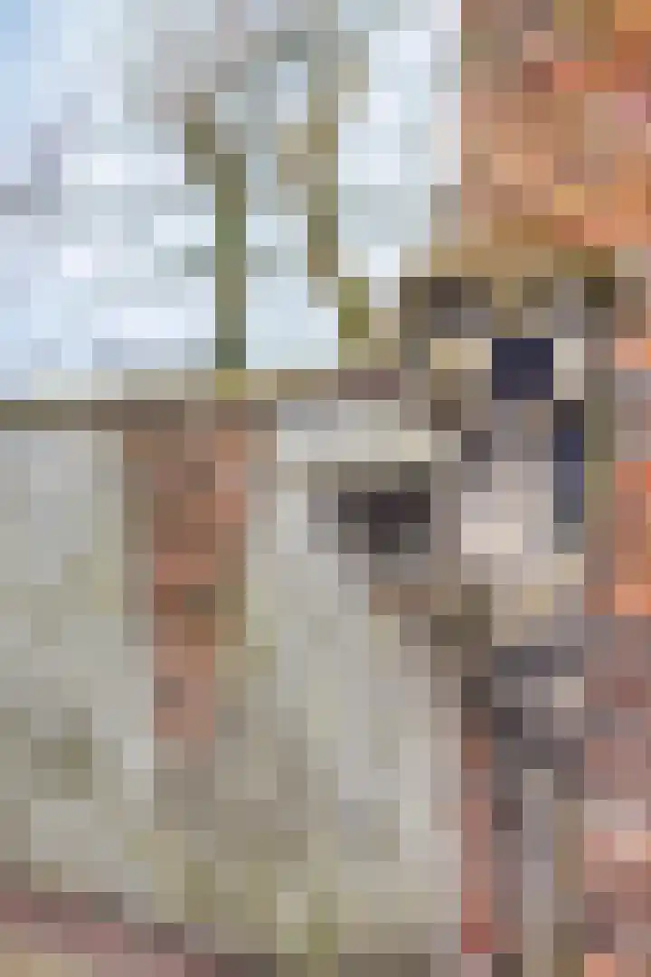 Populierstraat 13 Oss thumbnail 61