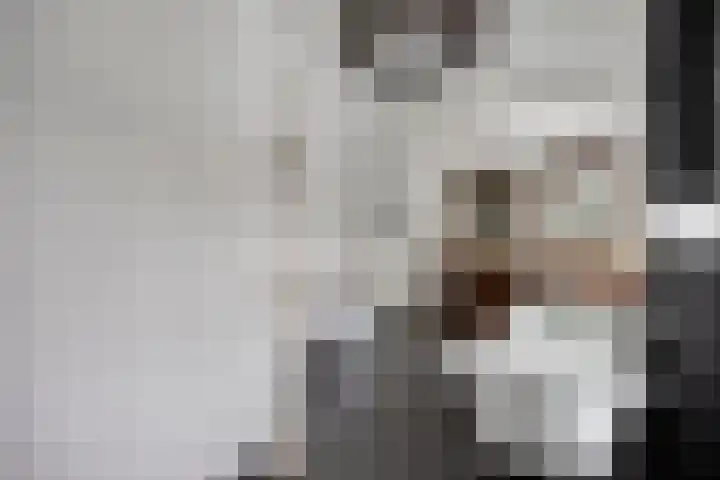 Populierstraat 13 Oss thumbnail 69
