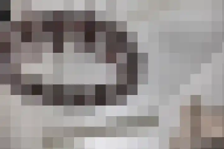 Populierstraat 13 Oss thumbnail 74
