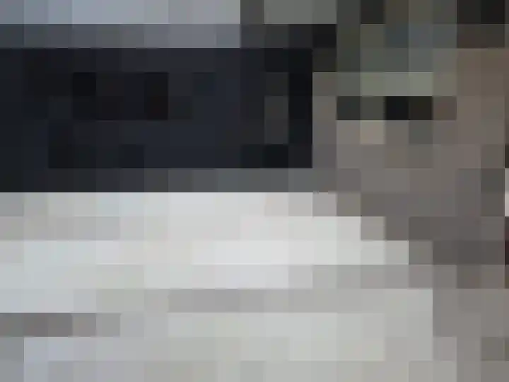 Populierstraat 13 Oss thumbnail 82