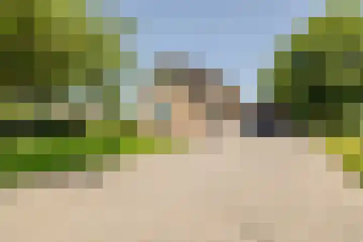 Populierstraat 3 Oss thumbnail 10