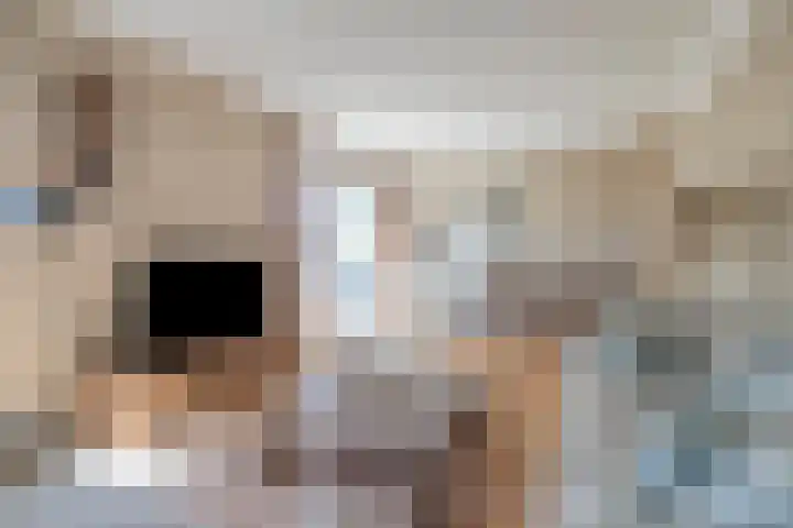 Populierstraat 3 Oss thumbnail 16