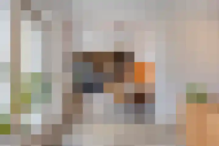 Populierstraat 3 Oss thumbnail 16