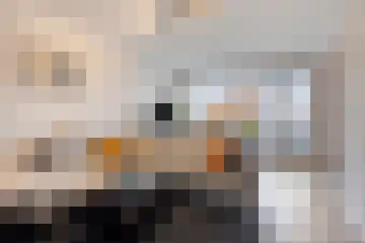 Populierstraat 3 Oss foto 2