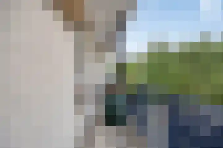 Populierstraat 3 Oss thumbnail 20