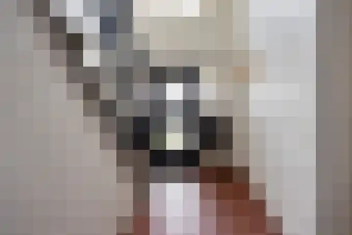 Populierstraat 3 Oss thumbnail 5