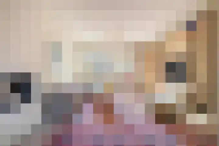 Populierstraat 31 Breda thumbnail 12