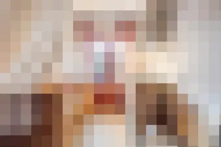 Populierstraat 31 Breda thumbnail 37