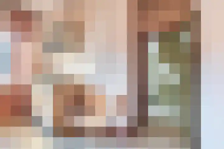 Populierstraat 31 Breda thumbnail 39