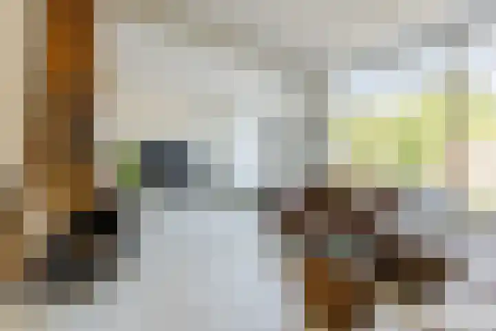 Porfier 6 Leusden thumbnail 10