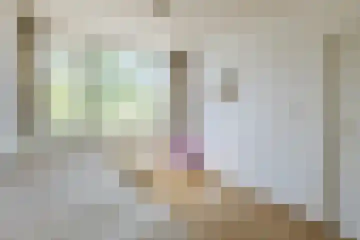 Porfier 6 Leusden thumbnail 23