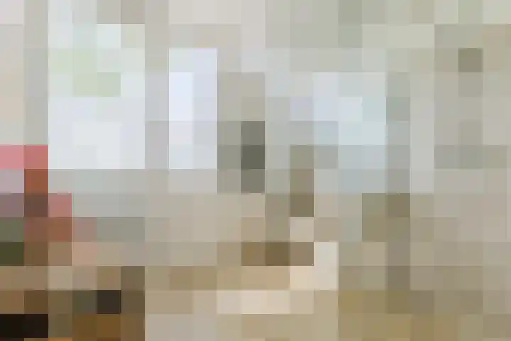Porfier 6 Leusden thumbnail 26