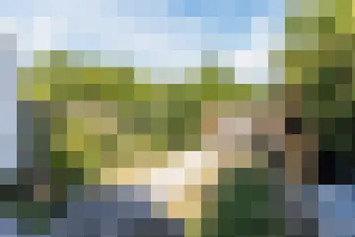 Porfier 6 Leusden thumbnail 36