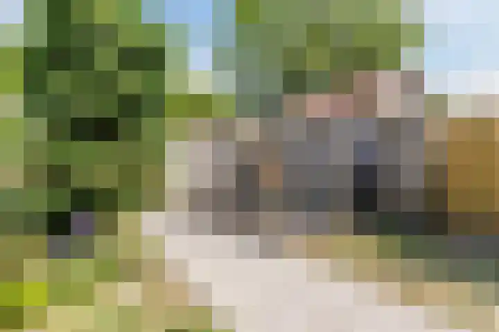 Porfier 6 Leusden thumbnail 37
