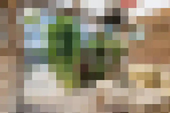 Porfier 6 Leusden thumbnail 39