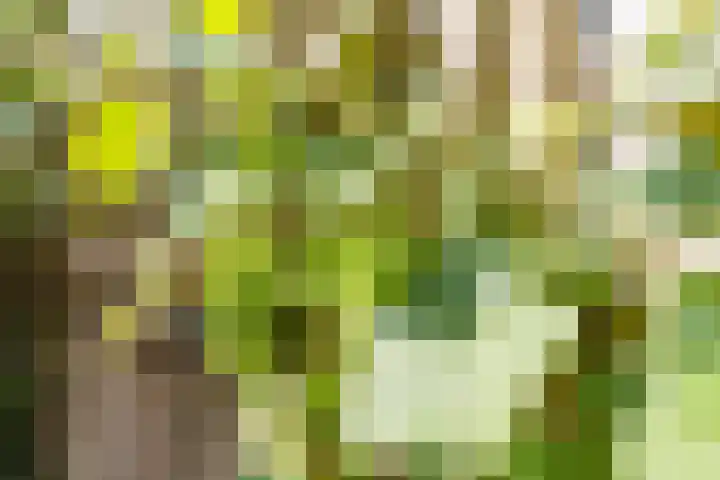 Porfier 6 Leusden thumbnail 40