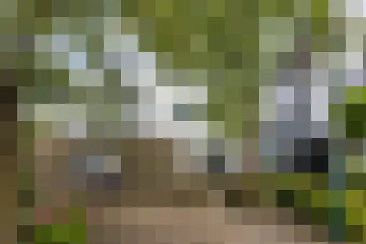 Porfier 6 Leusden thumbnail 41
