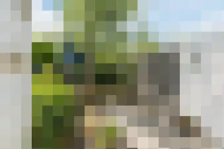Porfier 6 Leusden thumbnail 43
