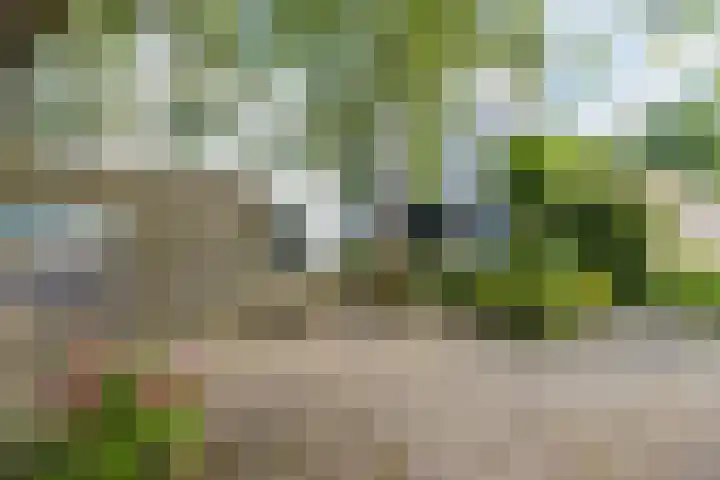 Porfier 6 Leusden thumbnail 44