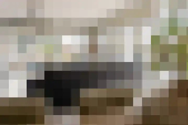 Portugalkade 9 Almere thumbnail 10