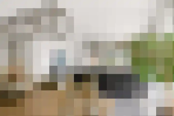 Portugalkade 9 Almere thumbnail 11