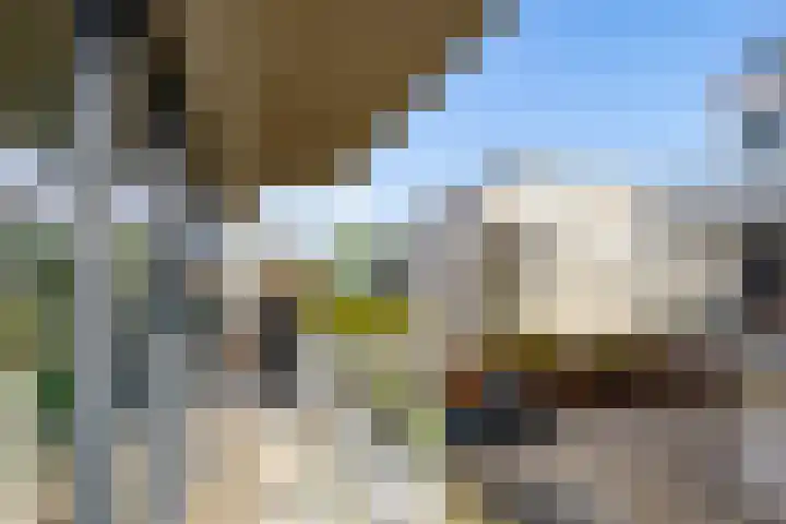 Portugalkade 9 Almere thumbnail 16